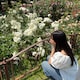 yのアイコン