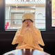 harukaのアイコン