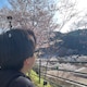スースのアイコン