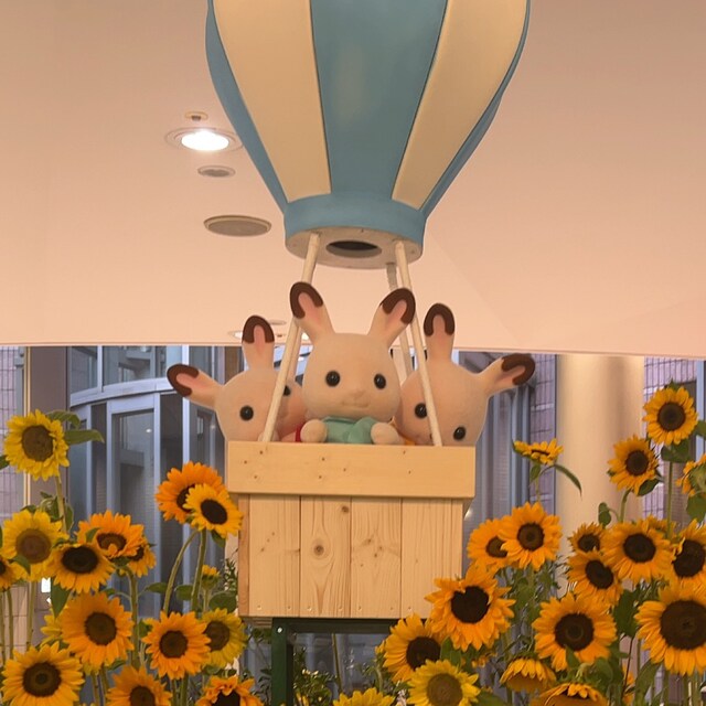 あきき