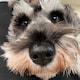 ANRIのアイコン