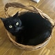 ももんかのアイコン