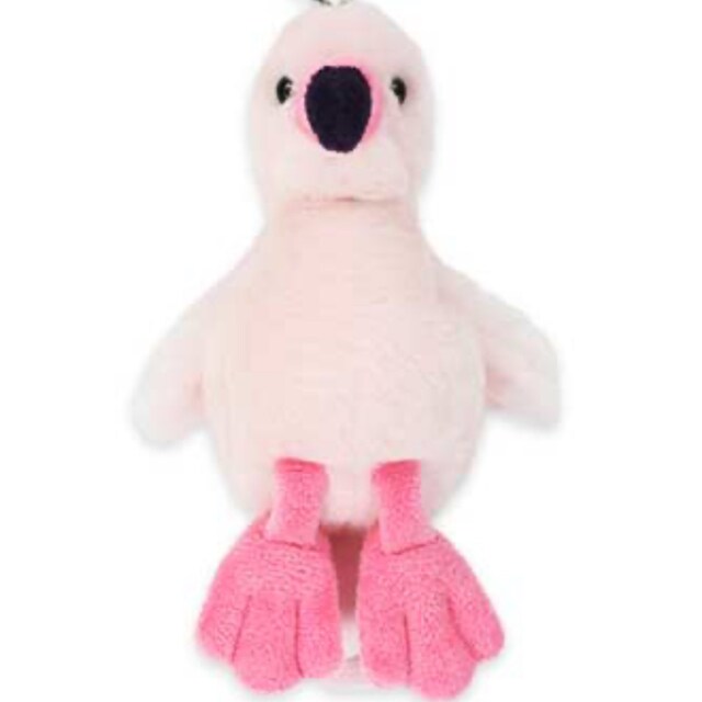 pumi
