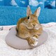 カロのアイコン