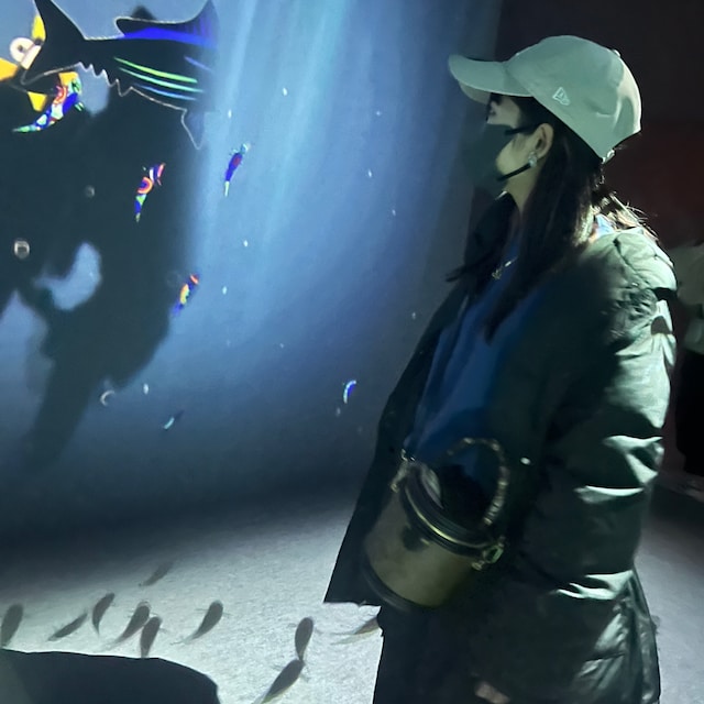 .nao.