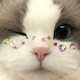 hananoのアイコン