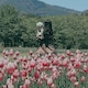 もよんのアイコン
