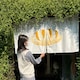 あんずのアイコン