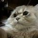 ukyのアイコン