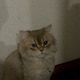 ukyのアイコン