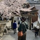 りゅーせーのアイコン