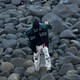 SHOTAのアイコン