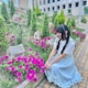 こせっきーのアイコン