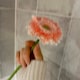 ミニハナのアイコン
