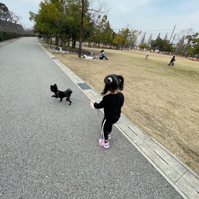 かんな