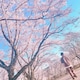 10___girl◡̈♡のアイコン