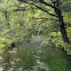 miのアイコン