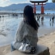 rioのアイコン