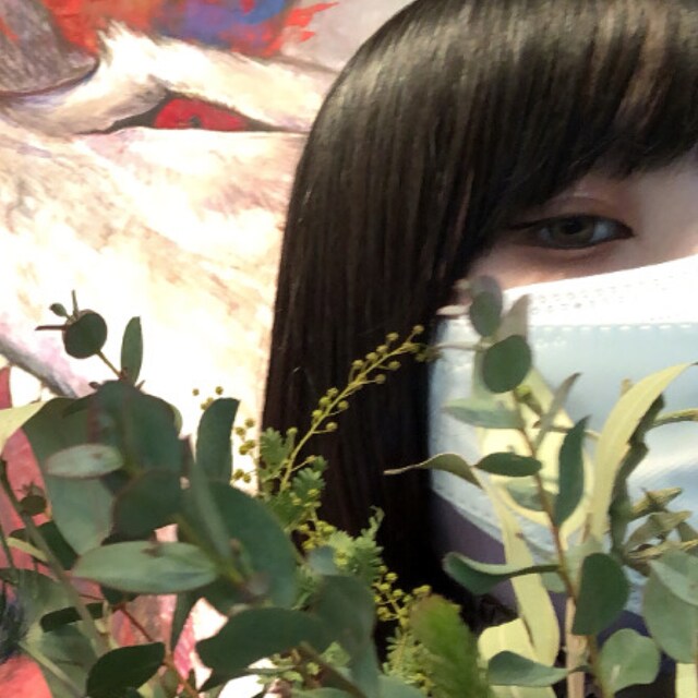 nori‎﹋
