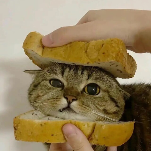 ftfty