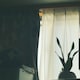 なおきのアイコン