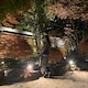 ayanoのアイコン