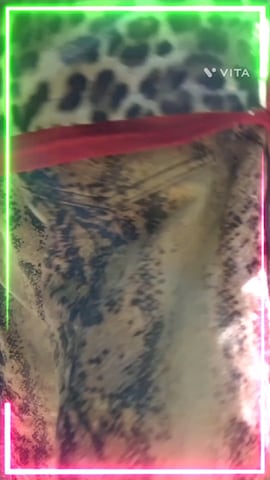 「アイテム（キャスケット、レッド系）」を使った、tamtamtanukiさん（メンズ・166cm）の夏コーディネート