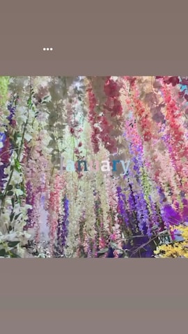 BOODYのアイテムを使ったshitamu_clさんのファッション動画