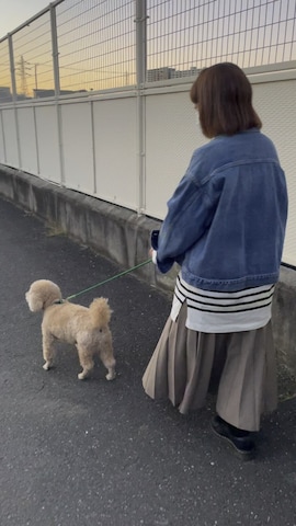 osonosanさんのファッション動画