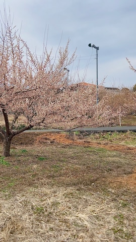 Ron Hermanのアイテムを使ったタケウチ☆ボンバイエさんのファッション動画