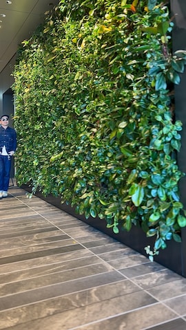 タケウチ☆ボンバイエさんのファッション動画