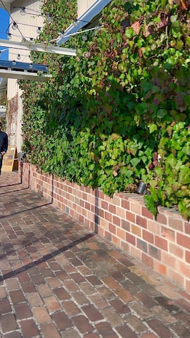 FULLCOUNTのパンツを使ったタケウチ☆ボンバイエさんのファッション動画