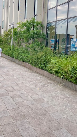 Dickiesのアイテムを使ったタケウチ☆ボンバイエさんのファッション動画