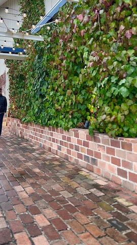 FELCOのアイテムを使ったタケウチ☆ボンバイエさんのファッション動画