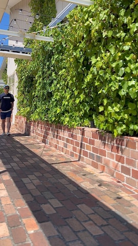 Ocean Pacificのパンツを使ったタケウチ☆ボンバイエさんのファッション動画