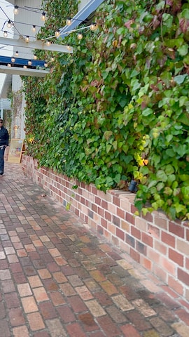 Supreme のダウンジャケット/コートを使ったタケウチ☆ボンバイエさんのファッション動画