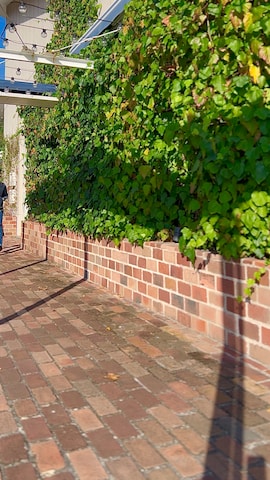 タケウチ☆ボンバイエさん（メンズ・173cm）の秋コーディネート