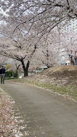 FULLCOUNTのジャケット/アウターを使ったタケウチ☆ボンバイエさんのファッション動画