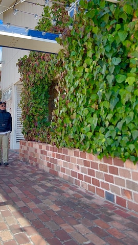 Supreme のダウンジャケット/コートを使ったタケウチ☆ボンバイエさんのファッション動画