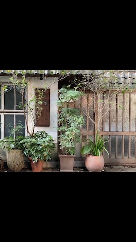 FILSONのバッグを使ったSauce さんのファッション動画