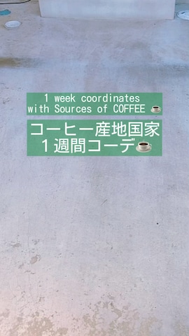 jouetieのアイテムを使った理翔 / rishangさんのファッション動画