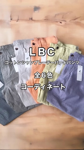 「LBC（エルビーシー）のアイテム（シャツ/ブラウス）」を使った、M★★★さん（レディース・156cm）の春コーディネート
