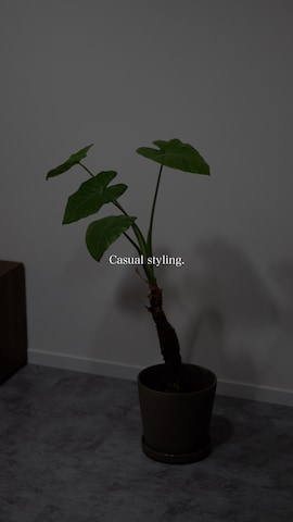 CELINEのスラックスを使ったTsuguya/KwonSayaさんのファッション動画