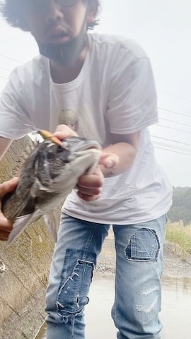 KENZOのキャップを使ったよしお３さんのファッション動画