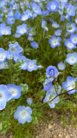 「アイテム（ポーチ）」を使った、ゆうたさん（メンズ・171cm・20代）の春コーディネート