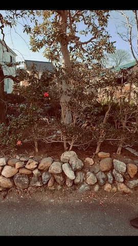 スウェットパンツを使ったSUNさんのファッション動画