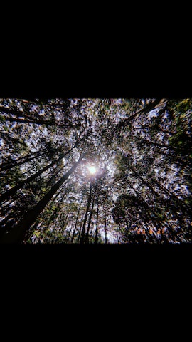 DJ音霊さんのファッション動画