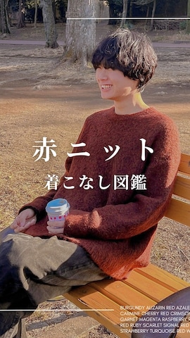 steinのトップスを使った平莉川己夢(コム)さんのファッション動画