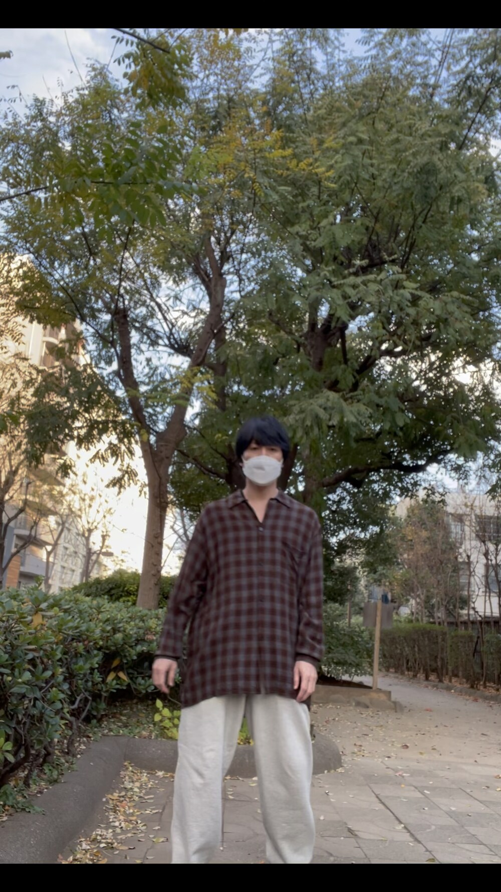 COMOLIのシャツ/ブラウス（ブラウン系）を使った人気