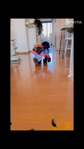 「アイテム（音楽/本・雑誌）」を使った、ずんちゃ🌞さん（レディース・163cm）の秋コーディネート